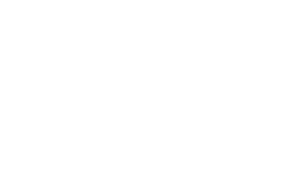 Efm global Logo