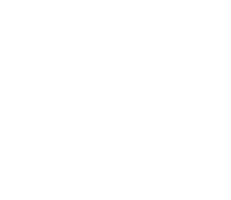 TEO Logo